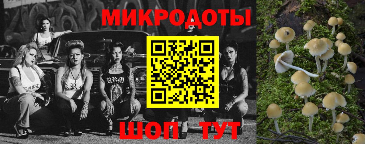 Псилоцибиновые грибы Magic Shrooms  Галлюциногенные грибы MAGIC MUSHROOMS  Вход с VPN  Дербент 