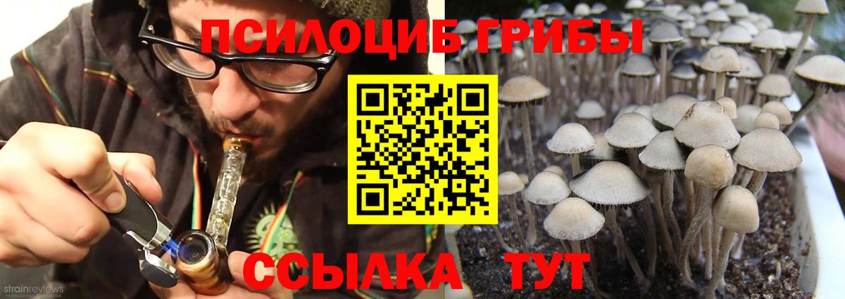 Галлюциногенные грибы Magic Shrooms Дербент